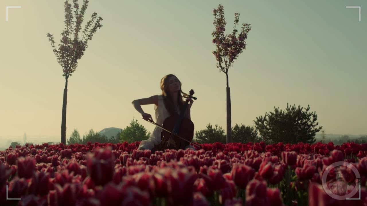 woman in a field of tulips playing the cello